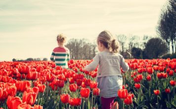 girls walking in a field of red tulips in springtime Providence Moms Blog