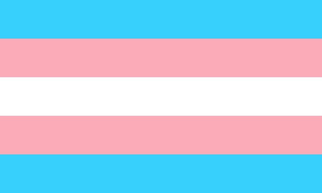 transgender flag Providence Moms Blog