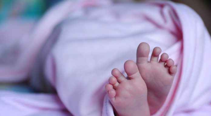 baby feet wrapped in pink blanket