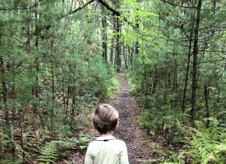 wild child walking path through woods