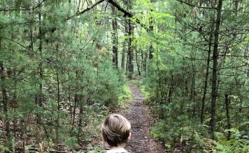 wild child walking path through woods