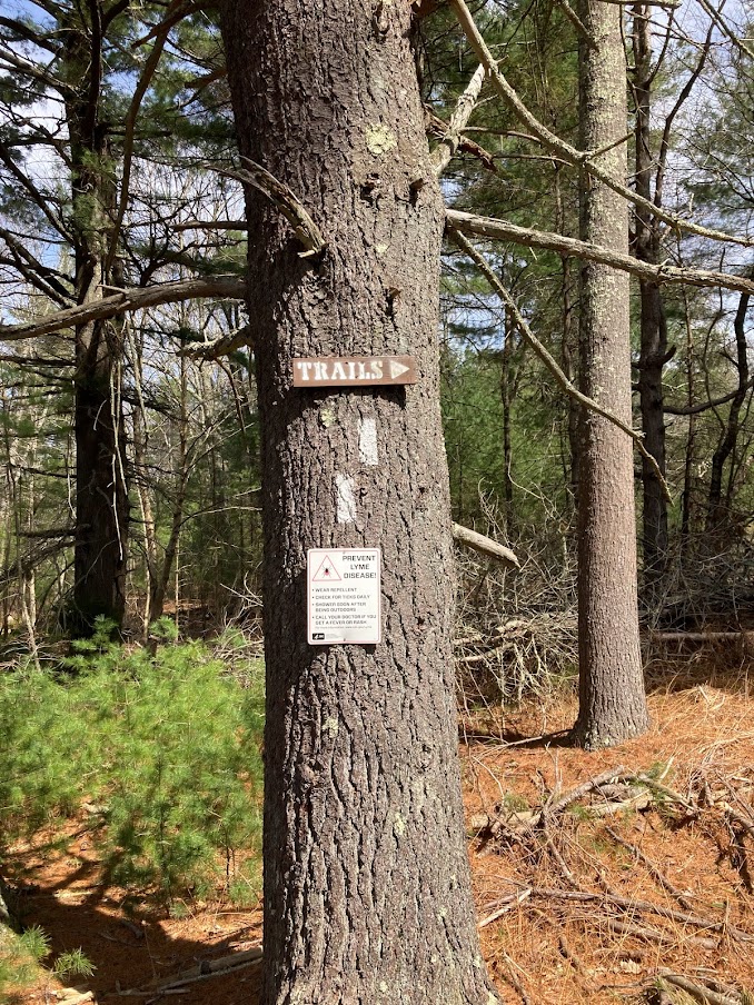 Trail sign nailed to a tree in the woods