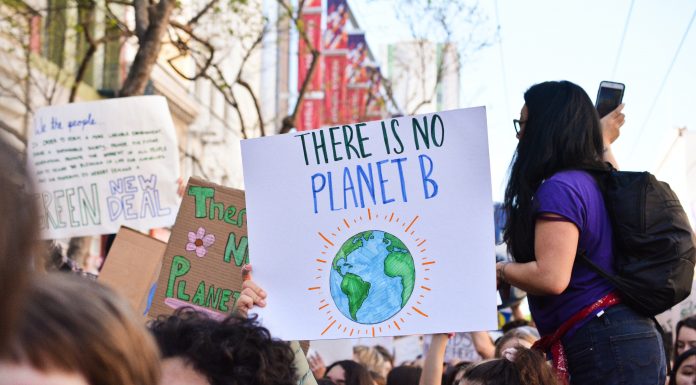 A climate change protest wiith a sign that reads "There is no planet B"
